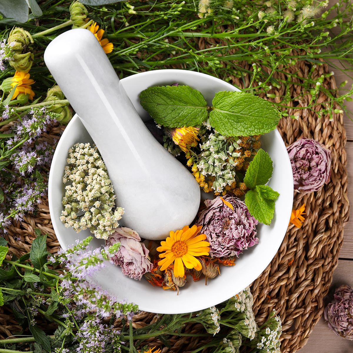 Mortar with pestle and many different herbs on table Mortar with pestle and many different herbs on table